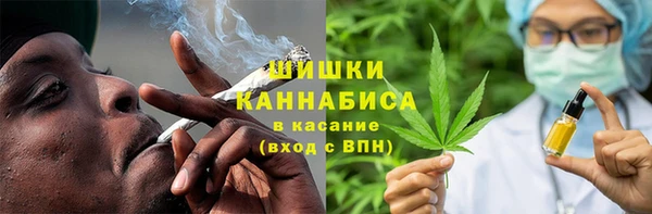 индика Лиски