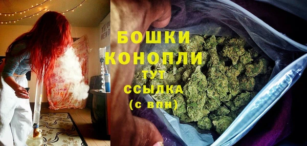 индика Лиски
