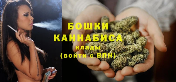 индика Лиски