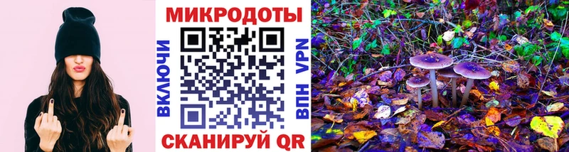 Галлюциногенные грибы Magic Shrooms хочу наркоту Екатеринбург